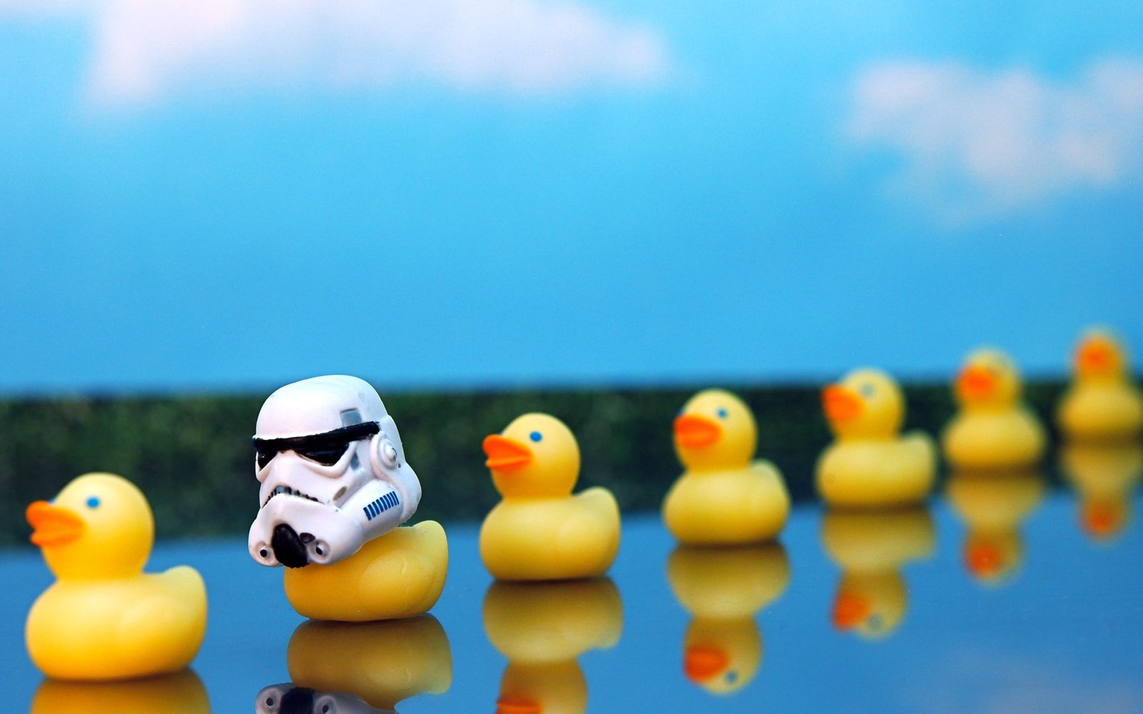 Why Being Different is a Gift