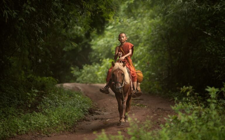 Lessons of a lost horse when finding its way home