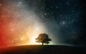 When predicting the future be aware of your next step