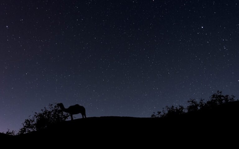 The missing eighteenth camel parable